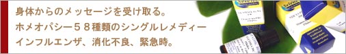 �z���I�p�V�[�����f�B�[