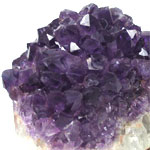 �A���W�X�g�@����