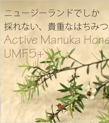 ニュージーランド直送アクティブマヌカハニー