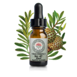 「流れはじめた春の風を、味方に付ける。」