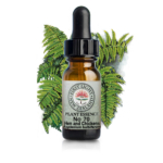 嫉妬でしんどくなる。