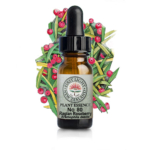 情報に振り回されて、疲れていませんか？