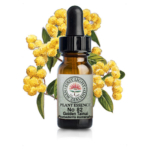 自分を信じられない日に、思い出したいこと。