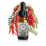 ものごとを終わらせるチカラ。