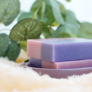 2025/11/9(日)発売分