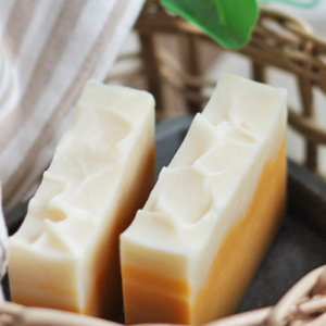 2026/1/27(火)発売分