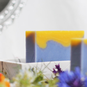 2026/2/1(日)発売分