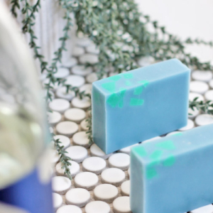 2026/2/24(火)発売分