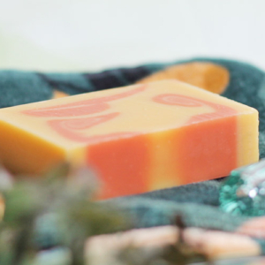 2026/3/24(火)発売分