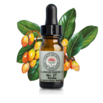 学んだことが、使える知恵に変わるとき。