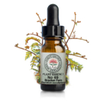 今年の目標、やりたいことが進んでいないとき。