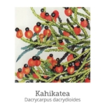 なぜか動けなくなっている時に。