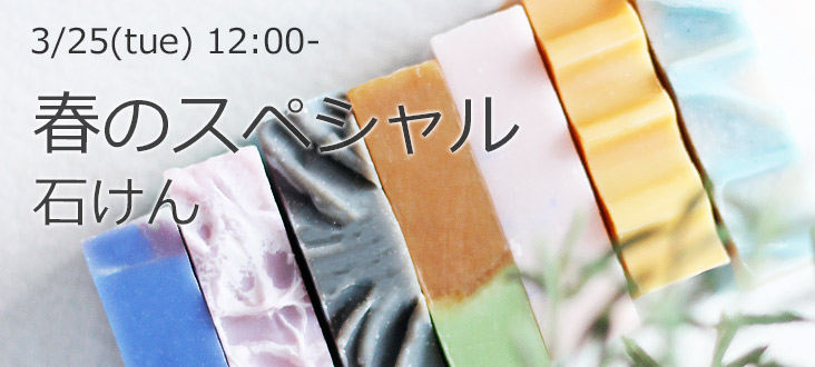 250325soaptop