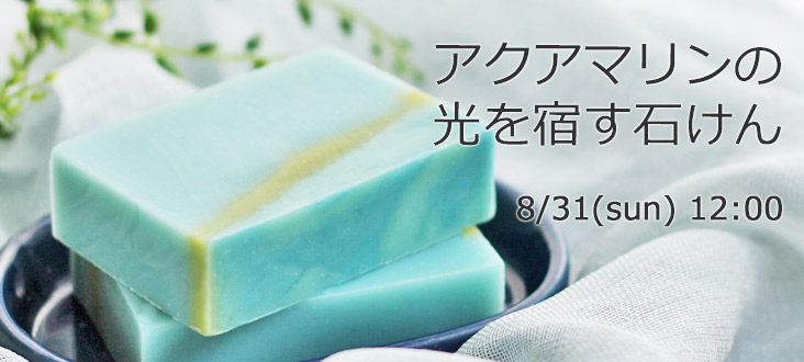 250831soaptop