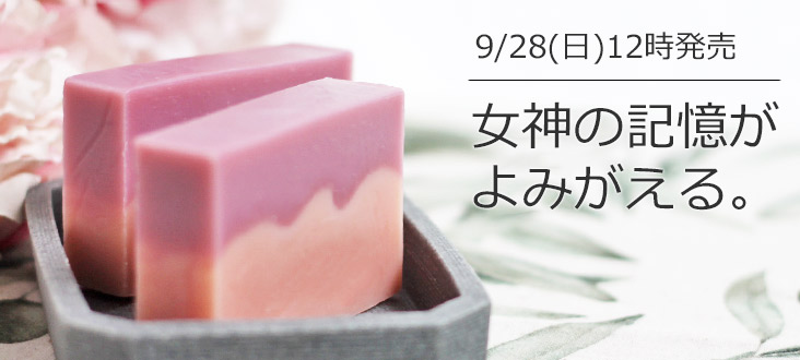 250928soaptop