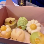 春のおすそわけ