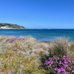 海辺のウォーキング