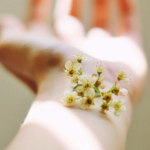 新しい年を、うるおい肌で迎える。