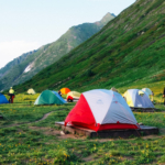 ニュージーランド式、ゆるゆる生活術。