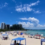 夏だ！海だ！トカゲくんだ～