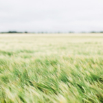 風とともに変わる、人間関係のかたち。