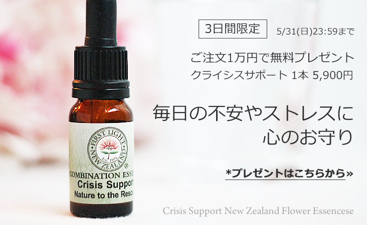 2605crisistop