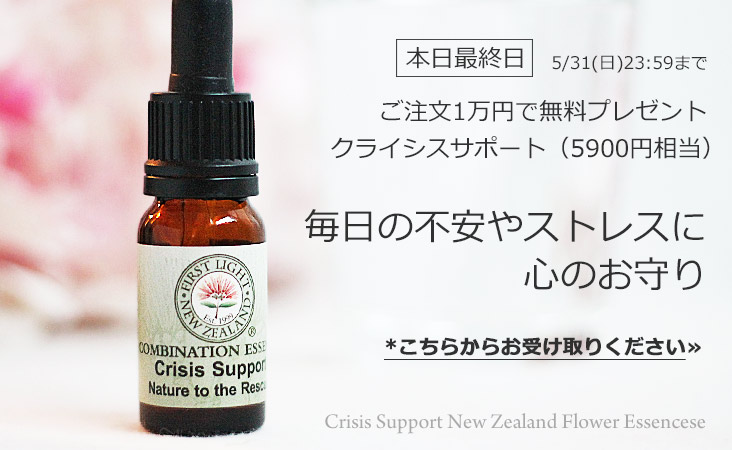 2605crisistop