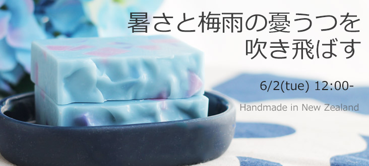 260602soaptop