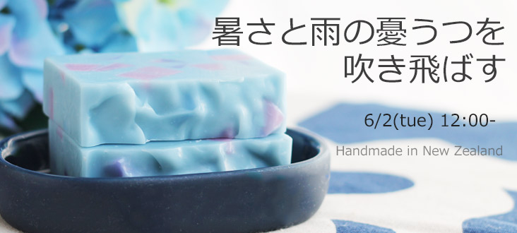 260602soaptop