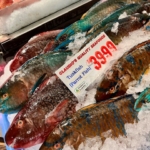 お魚派?お肉派?