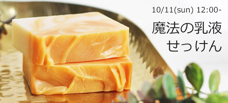 261011soaptop